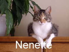 Je m’appelle Nenette, j’ai été adoptée par Philippe