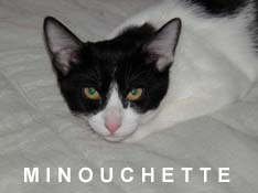 Je m’appelle Minouchette