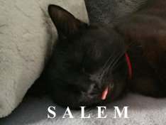 Je m’appelle Salem