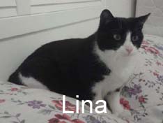 Je m’appelle Lina