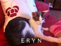 Je m’appelle Eryn