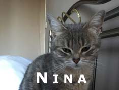 Je m’appelle Nina, j’ai été adoptée par Axelle