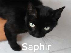 Je m’appelle Saphir