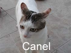 Je m’appelle Canel