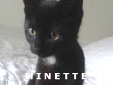 Je m’appelle Minette (ex Maya)