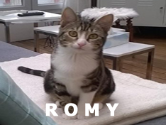 Je m’appelle ROMY