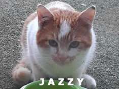 Je m’appelle Jazzy
