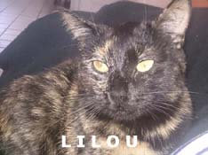 Je m’appelle Lilou, j’ai été adoptée par Nelly.
