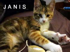 Je m’appelle Janis, j’ai été adoptée par Cécile