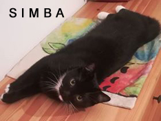 Je m’appelle Simba
